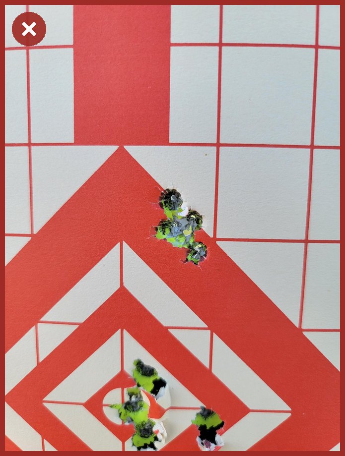 A target photo that has been through a messaging app, visibly blocky from recompression.